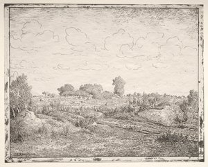 Die Ebene von La Plante bei Biau von Theodore Rousseau