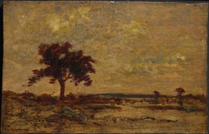 Sumpflandschaft, undatiert von Theodore Rousseau
