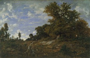 Am Waldrand von Monts-Girard, Wald von Fontainebleau
