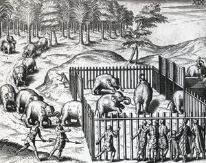 Elefantenjagd im Königreich Pegu, jetzt Myanmar, von Theodor de Bry, Gravur von Theodore de Bry
