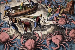 Europäische Seefahrer kämpfen gegen große Krabben. Gravur aus „Petites voyages aux Indes Orientales“ von Theodore de Bry