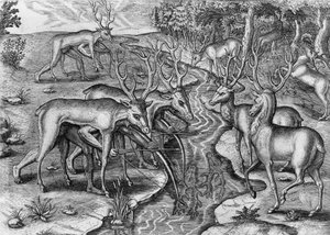 Florida-Indianer auf der Jagd, verkleidet als Hirsche von Theodore de Bry