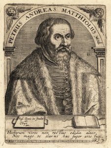 Pietro Andrea Gregorio Mattioli, italienischer Arzt