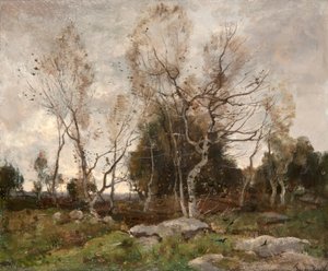 Landschaft