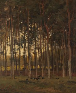 Ansicht im Wald von Theophile de Bock