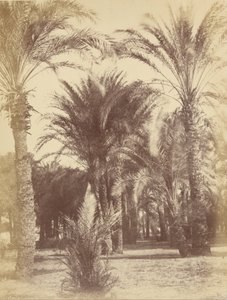 Gous von Théodule Devéria