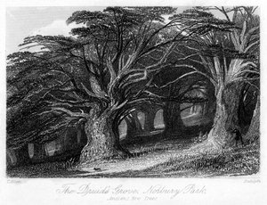 Der Druidenhain, Norbury Park, Surrey, 19. Jahrhundert von Thomas Allom