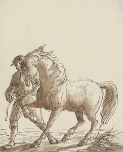 Mann führt ein Pferd