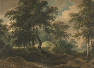 Waldlandschaft
