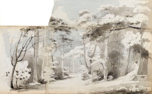 Eine junge Frau, vielleicht Charlotte Nelson, sitzt in einem Laubengang in einer bewaldeten Landschaft