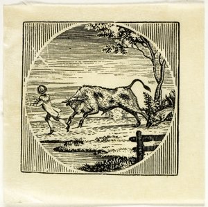 Buchillustration