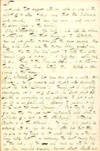 Thomas Butler Gunn Tagebücher: Band 8, Seite 53, 29.-31. August 1856 von Thomas Butler Gunn