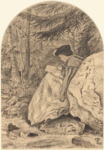 Zeichnen aus der Natur von Thomas C. Farrer