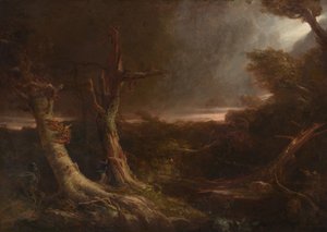 Tornado in einem amerikanischen Wald