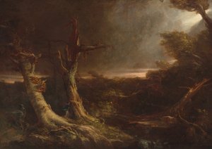 Tornado in einem amerikanischen Wald