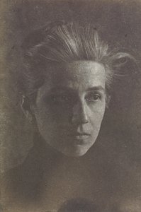 Amelia C. Van Buren, ca. 1891 (Platinabzug)
