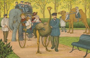 Paris: der Zoo von Thomas Crane