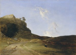 Moorlandschaft