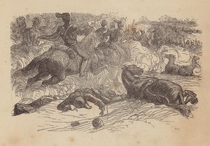 Der Angriff der Leichten Brigade (farbige Gravur)
