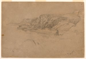 Studie aus der Natur