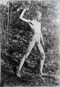 Steinewerfer, ca. 1883