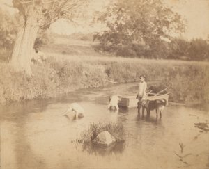 Drei Kinder und ein Hund spielen im Bach, 4. Juli 1883 von Thomas Eakins
