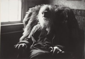 Walt Whitman in Camden, N.J., ca. 1891 von Thomas Eakins