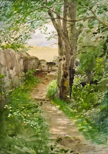 Waldweg