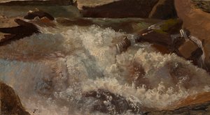 Wildwasser. Naturstudie