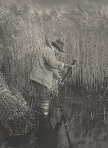 Ein Schilfschneider bei der Arbeit, 1886