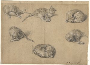 Sechs Studien einer Katze von Thomas Gainsborough