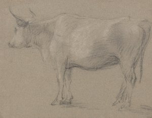 Studie einer Kuh von Thomas Gainsborough