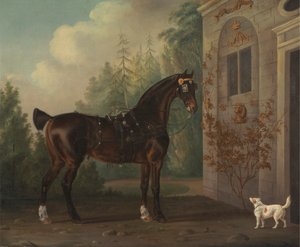 Lord Abergavennys dunkelbraunes Kutschpferd mit einem Terrier