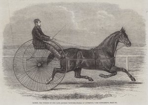 Jackey, der Gewinner der letzten Aintree-Trotting-Stakes in Liverpool