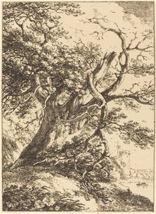 Alter Baum