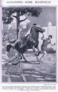 Alexanders Pferd, Bucephalus: das Pferd war glänzend schwarz mit einem weißen Stern auf der Stirn von Thomas Heath Robinson