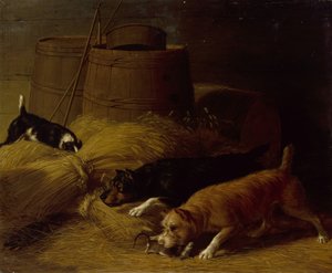 Ratten zwischen den Gerstenscheiben, 1851