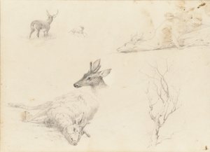 Skizzenbuch mit Landschafts- und Tiermotiven