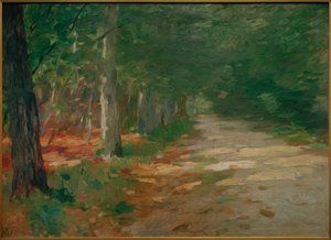 Waldweg mit Sonnenflecken