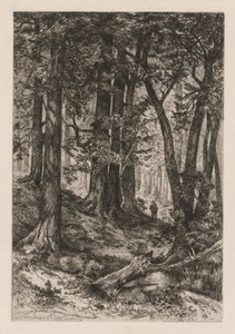 Inneres eines kalifornischen Waldes (nach Thomas Moran) von Thomas Moran