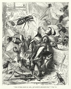 Illustration für Gullivers Reisen von Jonathan Swift