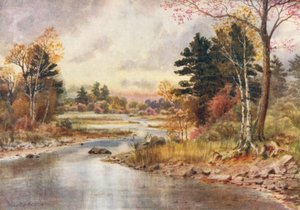 Herbst in New Brunswick