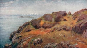Küste von Vancouver Island von Thomas Mower Martin