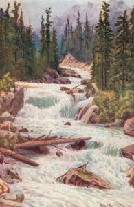 Wasserfälle am Illecillewaet River, Selkirk Mountains, British Columbia