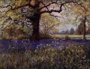 Kew Gardens: Wilde Hyazinthen