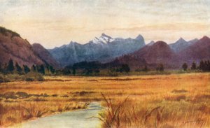 Pitt Meadows, am Fraser River, British Columbia