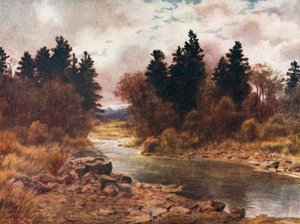 Winterzeit auf Vancouver Island, British Columbia von Thomas Mower Martin