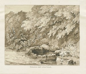 Codsall Wood - Brimstone Well: Sepia-Zeichnung von Thomas Peploe Wood