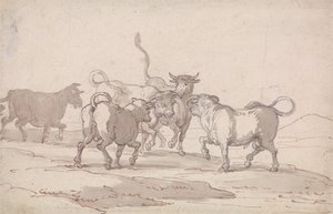 Eine Gruppe von fünf Bullen, die kämpfen wollen von Thomas Rowlandson
