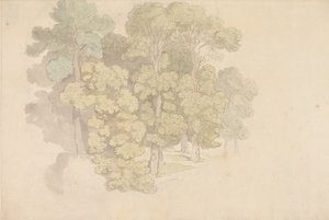 Eine Gruppe von Bäumen von Thomas Rowlandson